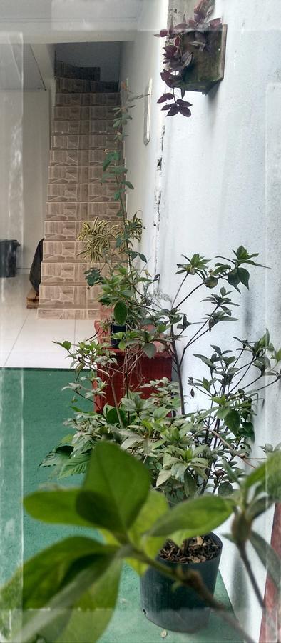 דירות אובטובה Casa Dos Avos מראה חיצוני תמונה
